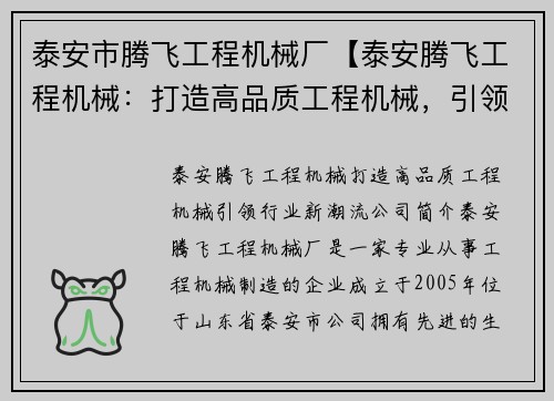 泰安市腾飞工程机械厂【泰安腾飞工程机械：打造高品质工程机械，引领行业新潮流】